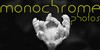 MonochromePhotos's avatar