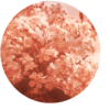 Monstrocker's avatar