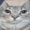 MooMooJuic's avatar