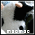 Moomoomoomoo's avatar
