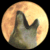 moon-wolf's avatar