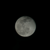 Moon568's avatar