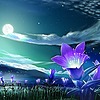 Moonlight8Forest's avatar