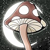 moonlightxtiger's avatar