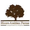 MooreArabians's avatar