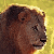 mophasa's avatar