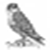 Mordant-falcon's avatar