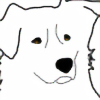 Morningdog's avatar