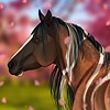 MorphyMilk's avatar