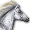 MorseHorses's avatar