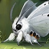 mothfuzz145's avatar