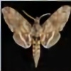 mothplz's avatar