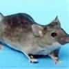 Mouse-lover's avatar