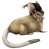 MouseDuchess's avatar