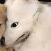 MRDEAN749's avatar