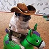MrPotato83's avatar