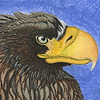 MsMergus's avatar