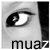 muaz's avatar