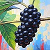 MulberryFiction's avatar