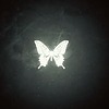multifandom031's avatar
