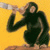munkeh's avatar