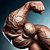 musclethirst's avatar