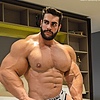 muscletrainer's avatar