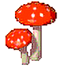 Mushroom999's avatar