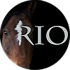 MustangRio's avatar