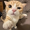 MyOutcomeMemories's avatar