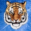 MyraHime's avatar