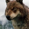 Mysticshewolf7's avatar