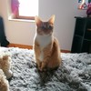 Naanae's avatar