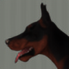 Nadiri95's avatar