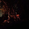 NakedVagabond's avatar