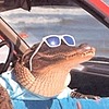 nakkiprinssi's avatar