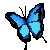 Nallebutterfly's avatar