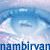 nambirvan's avatar