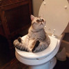 NanoekPannekoek's avatar