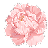 naomochi's avatar