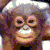 naruzo's avatar