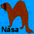 NasaFerret's avatar