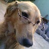 nate1848's avatar