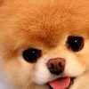 natyuder's avatar
