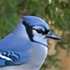 Naviavian's avatar