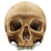 navicapic's avatar