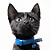Neko--Cat's avatar