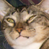 Neko-Spiate's avatar