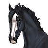 NellaesHARPG's avatar