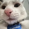 Nemmy95's avatar